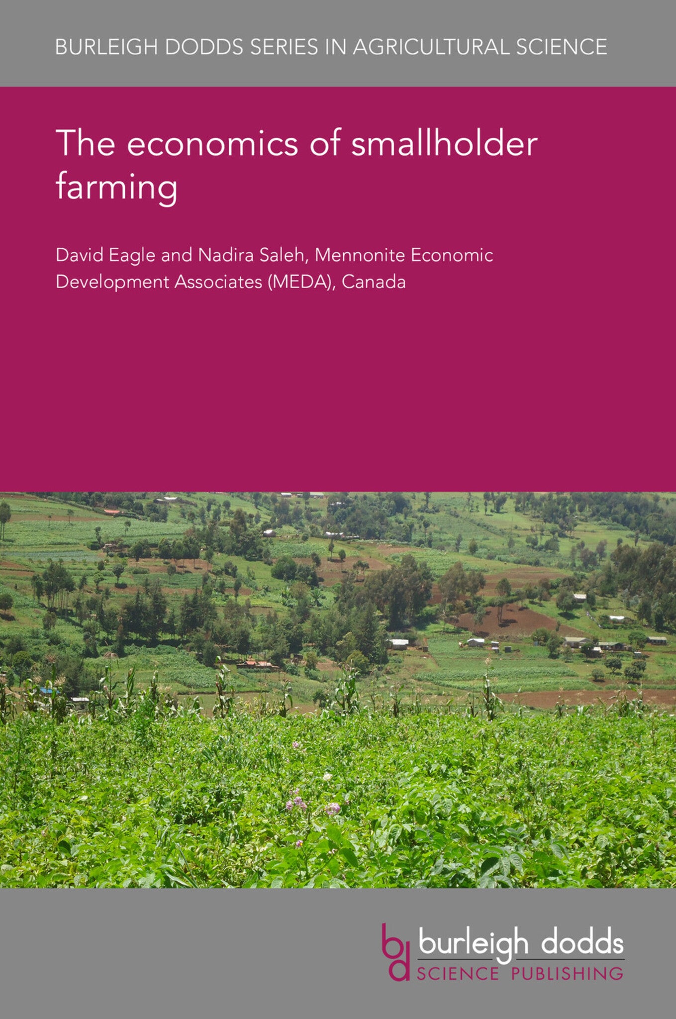 Cover image for The economics of smallholder farming ISBN 9781786769558